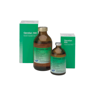 GENDIAN